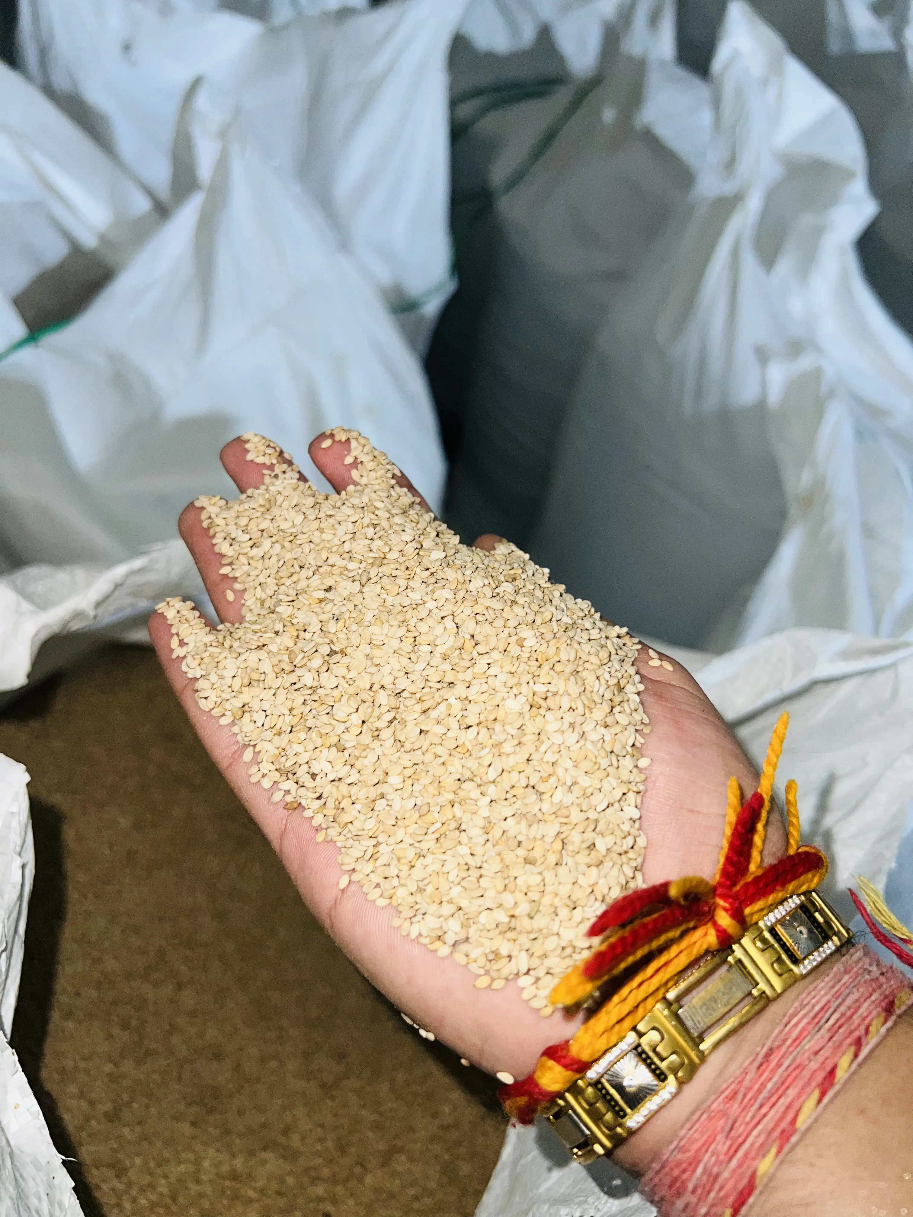 SEASME SEEDS 002